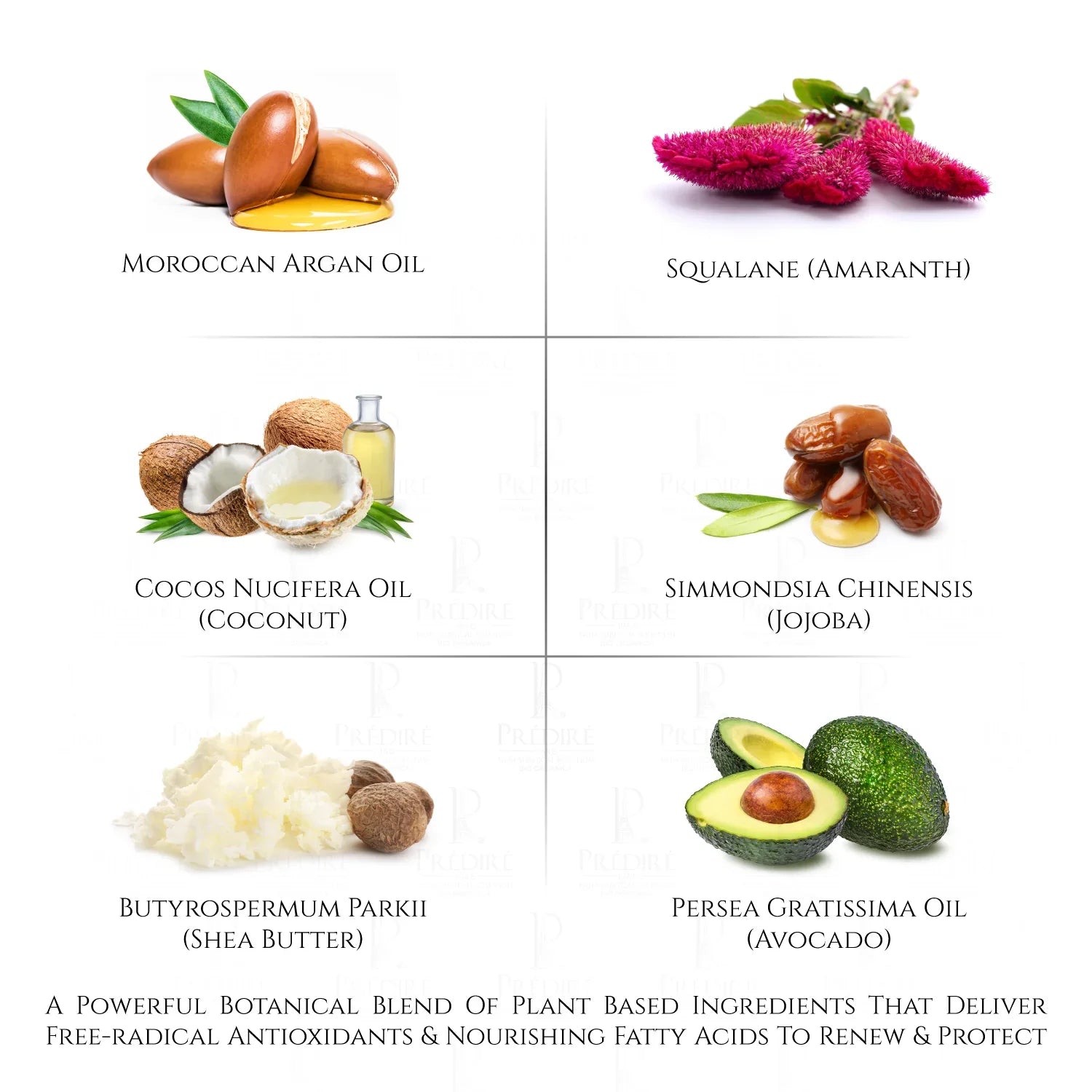 Predire Paris 50x Premium Argan Oil Moisture & Anti-Aging Serum - LaCosmetical