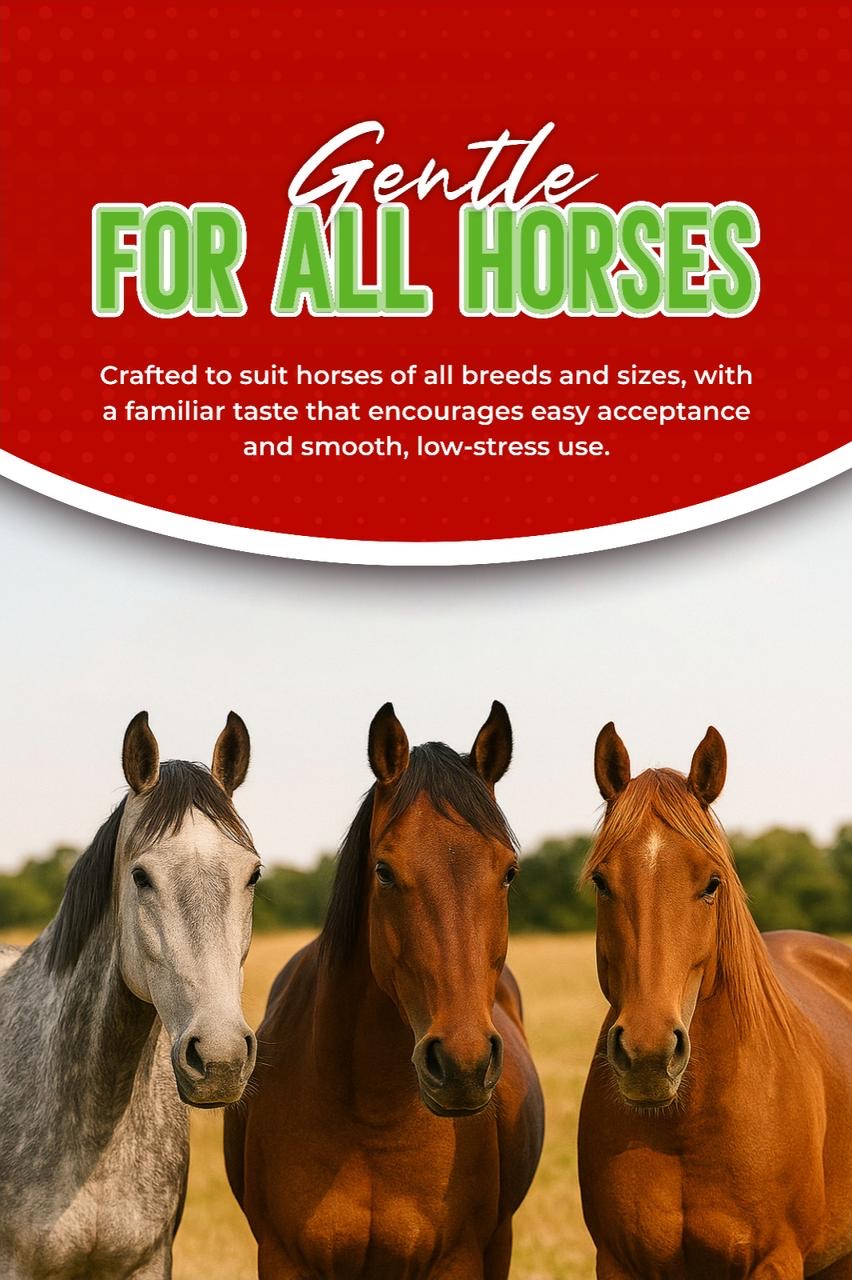 Ivermectin Horse Paste Apple Flavored 1.87%, 6.08g (3-Pack