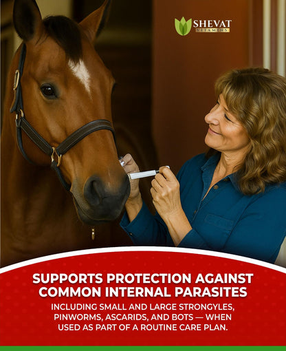 Ivermectin Horse Paste Apple Flavored 1.87%, 6.08g (3-Pack